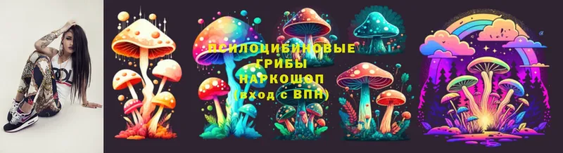 Галлюциногенные грибы ЛСД  Кинель 